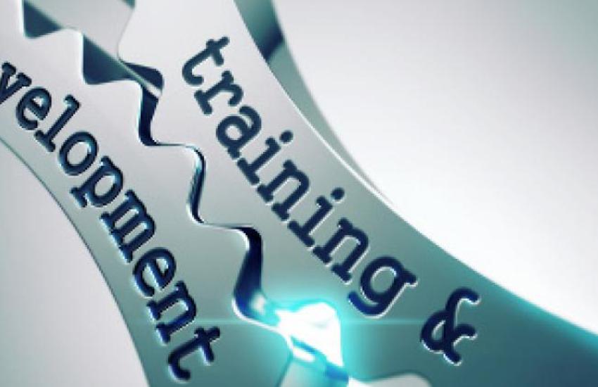 Training &amp; Entwicklung